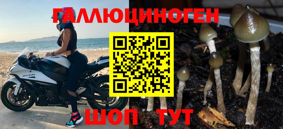Псилоцибиновые грибы мухоморы Гуково